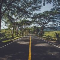 Road lined by trees.