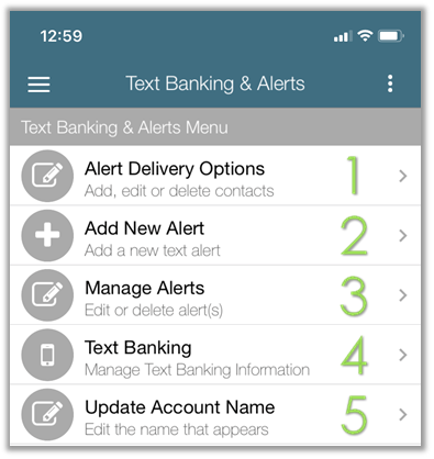 Screenshot of the Text Banking & Alerts Menu